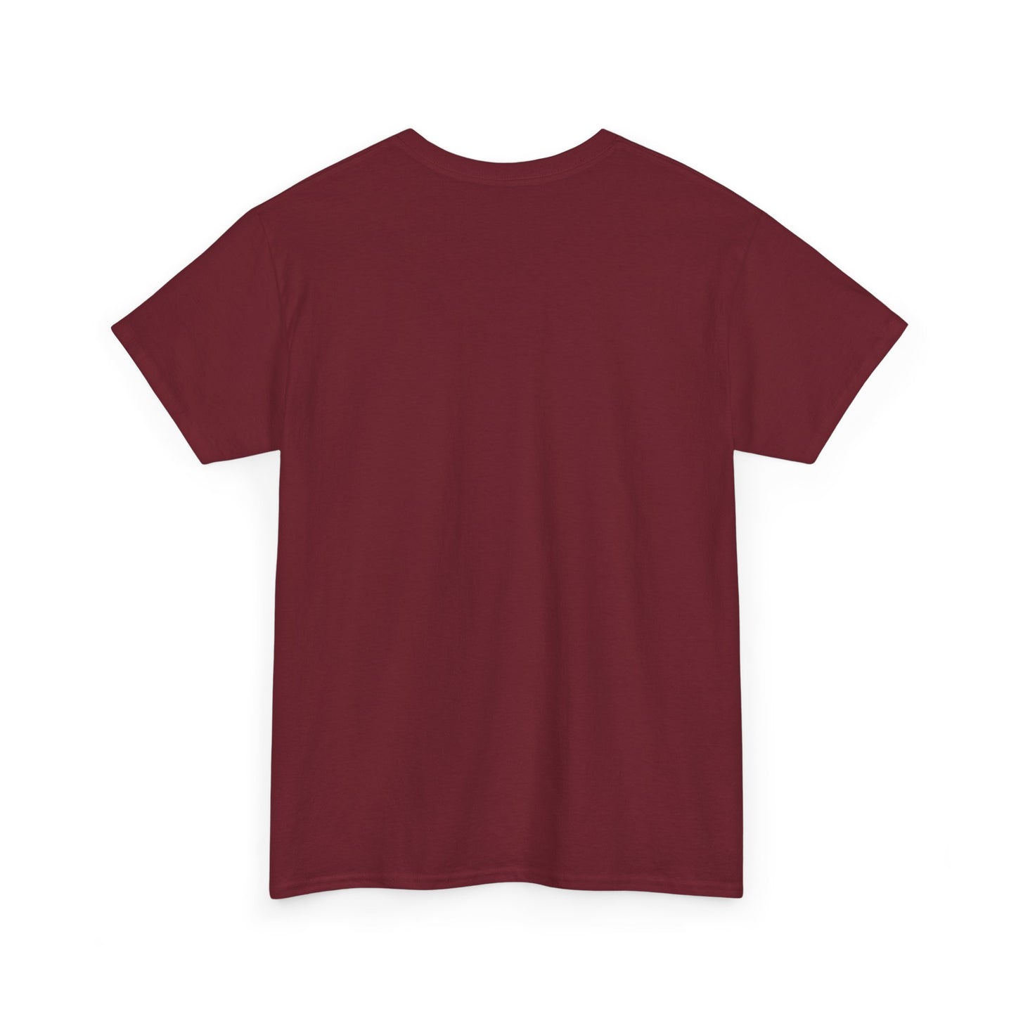 Unisex 2nd Chances Tee - Silver logo