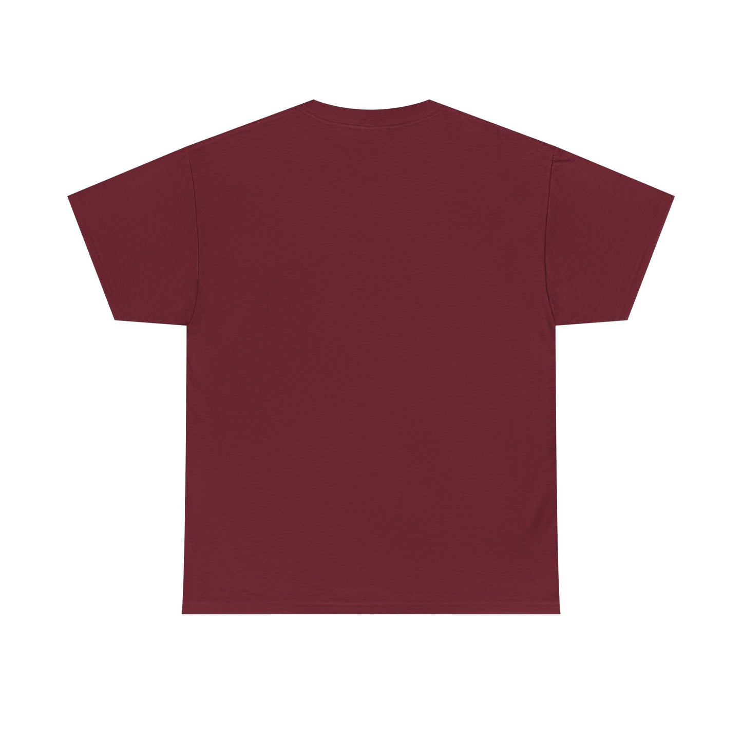 Unisex 2nd Chances Tee - Silver logo