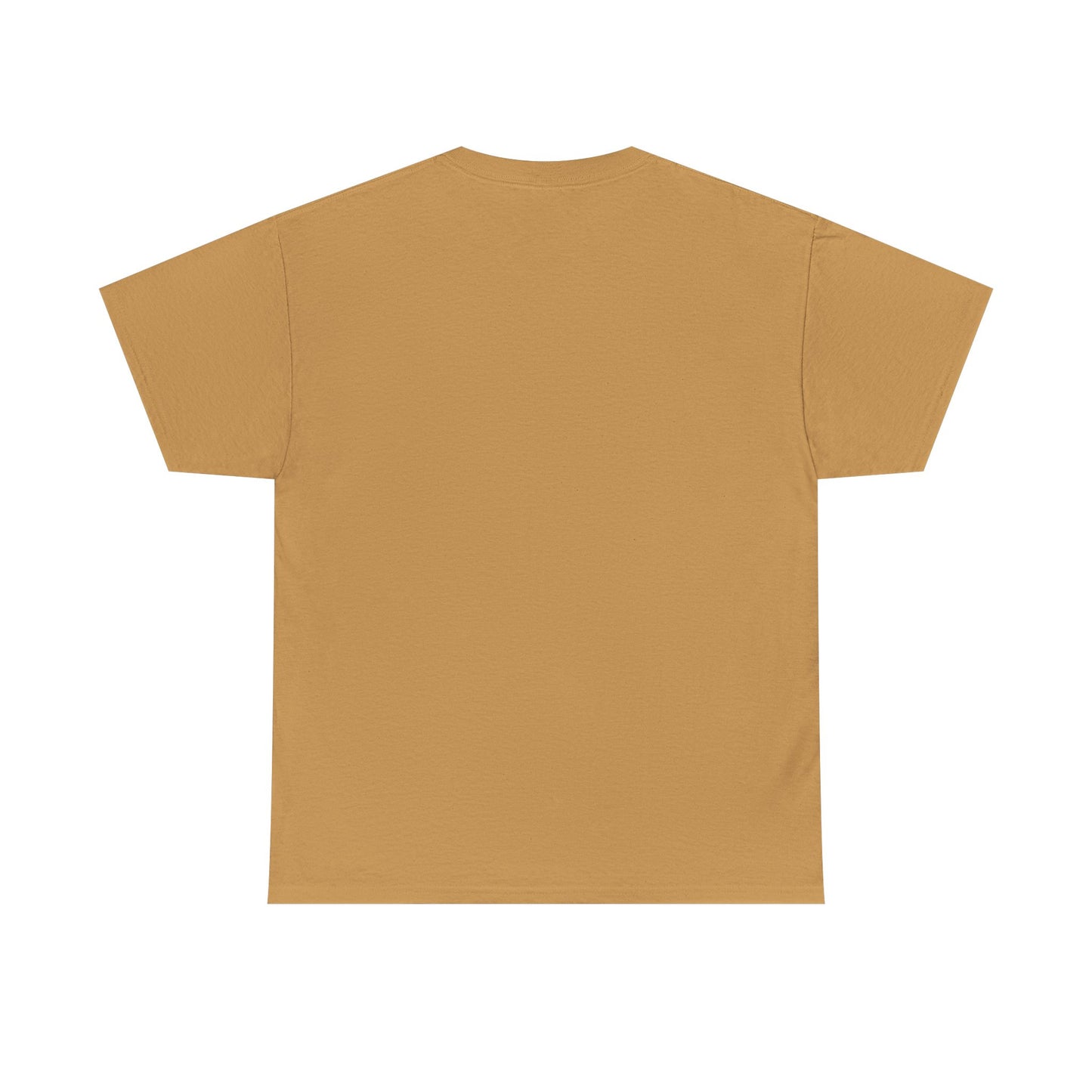 Unisex 2nd Chances Tee - Silver logo