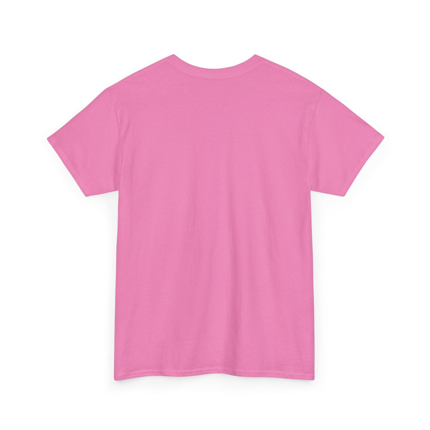 Unisex 2nd Chances Tee - Silver logo