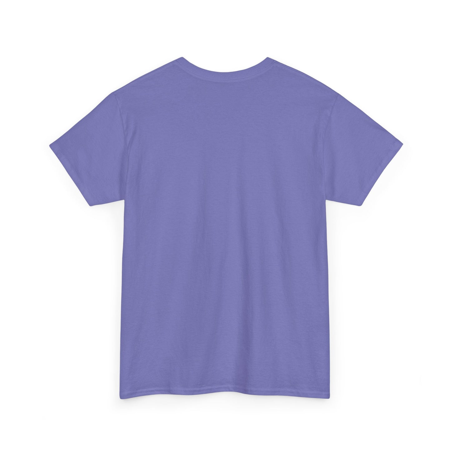 Unisex 2nd Chances Tee - Silver logo