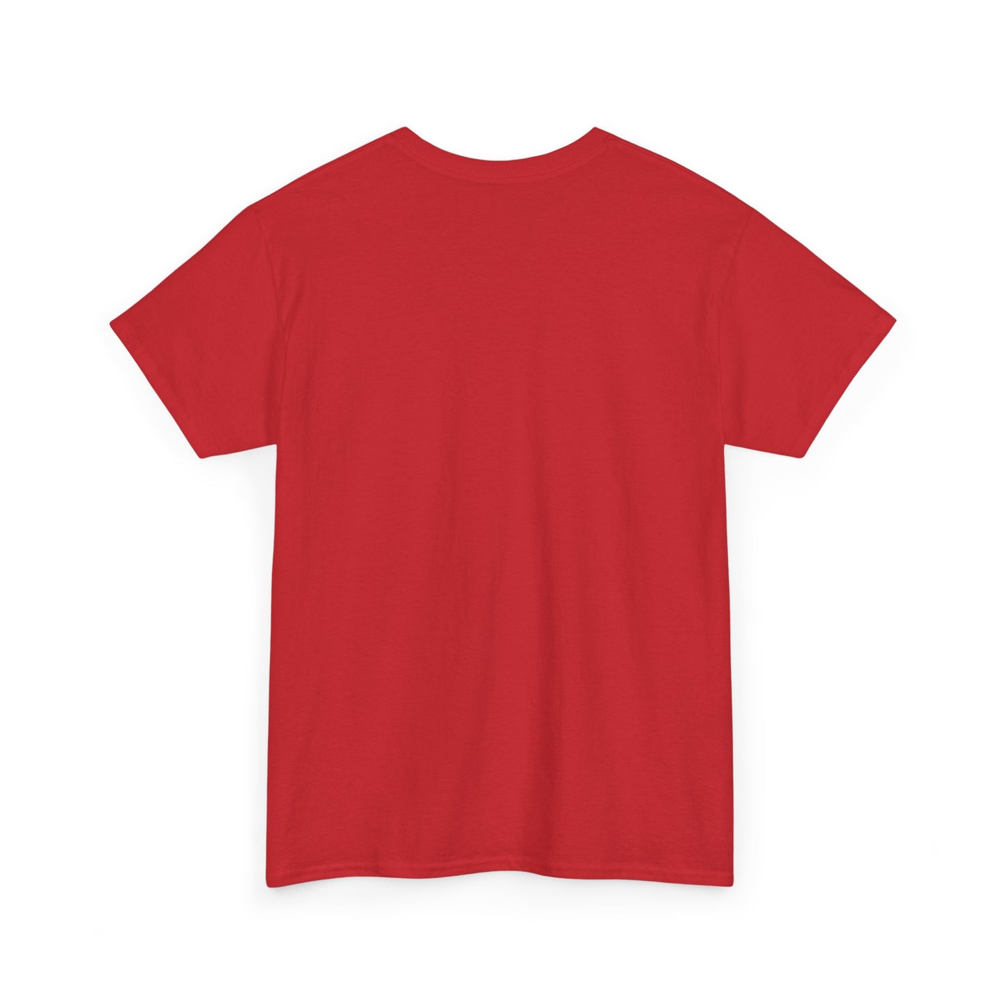 Unisex 2nd Chances Tee - Silver logo