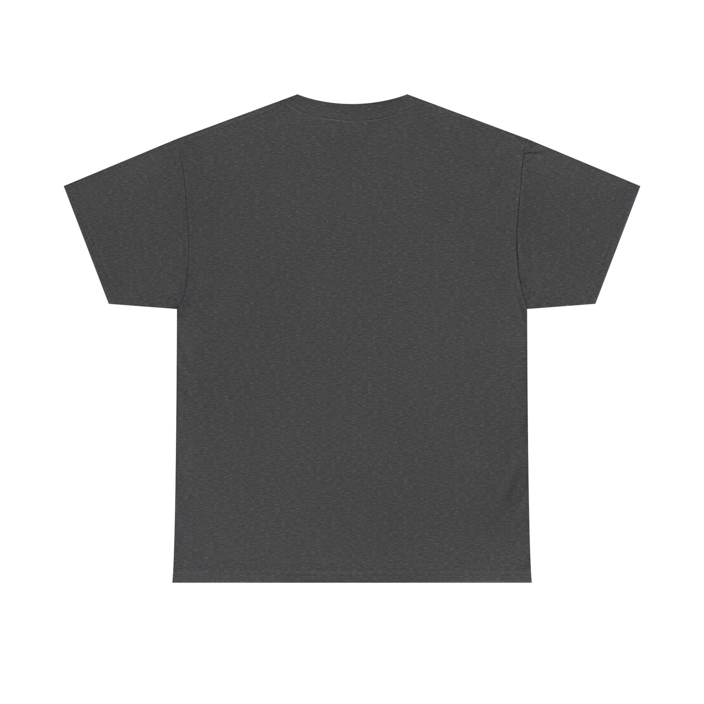 Unisex 2nd Chances Tee - Silver logo